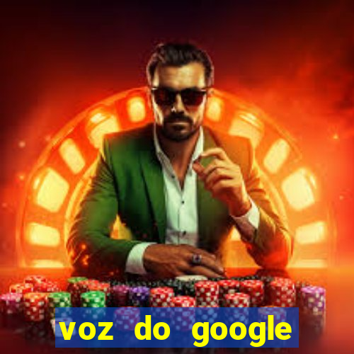 voz do google tradutor homem